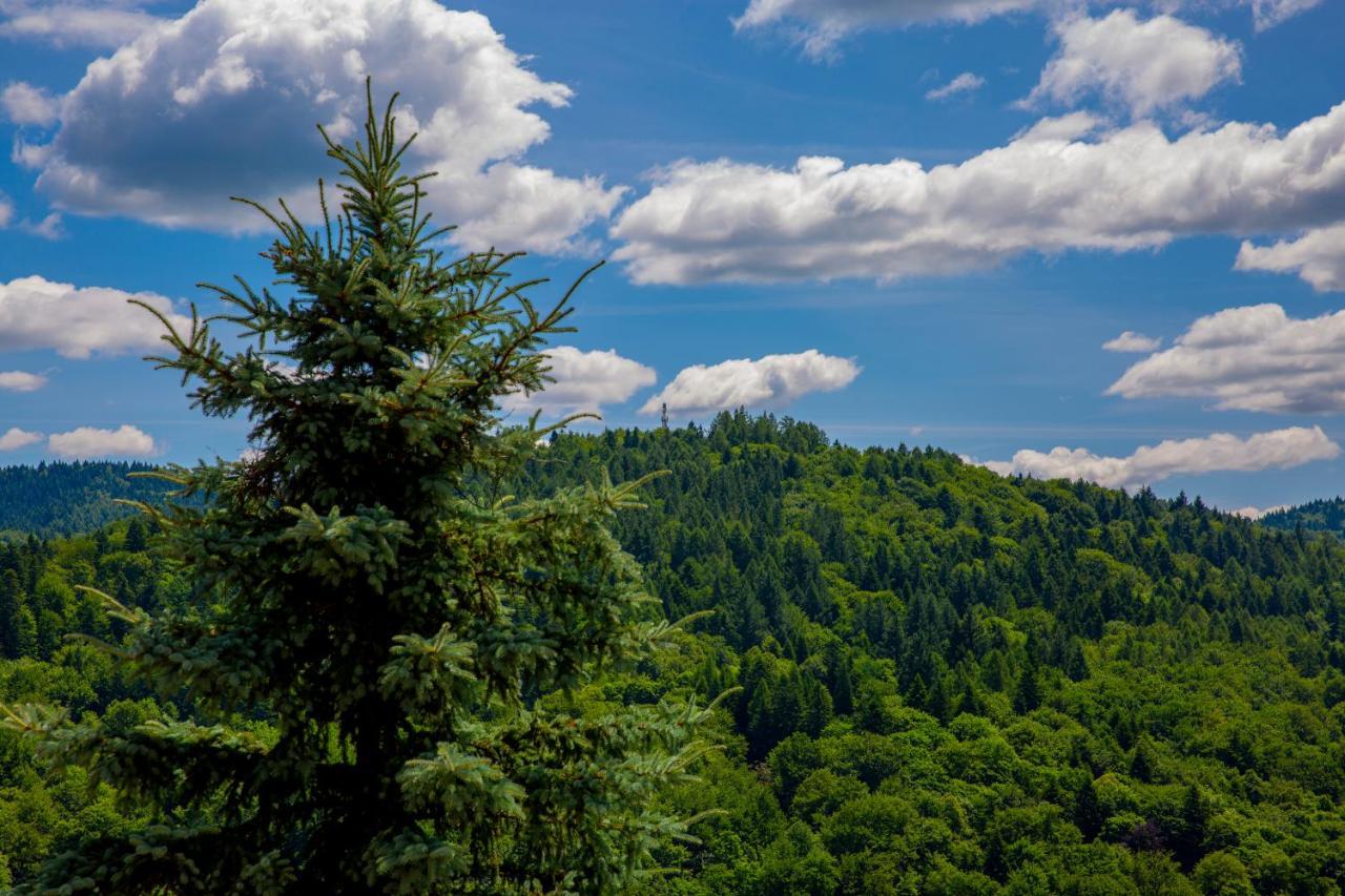 Sun & Sport Apartamenty Krynica-Zdroj エクステリア 写真