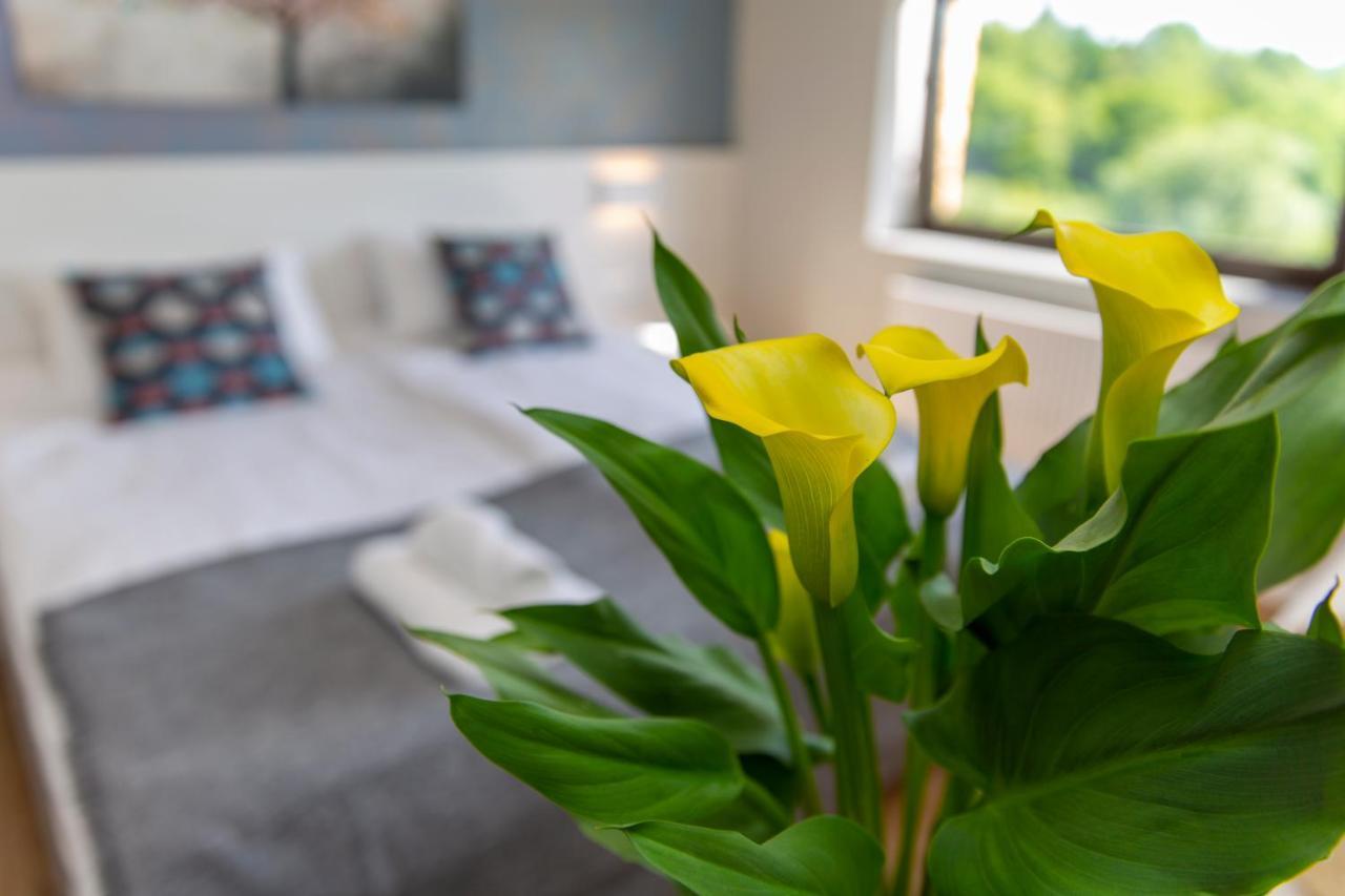Sun & Sport Apartamenty Krynica-Zdroj エクステリア 写真